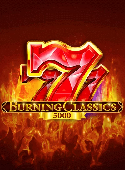 zy999
