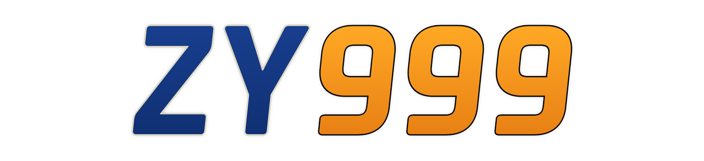 zy999